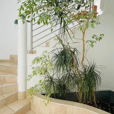 Maestral Apartment *