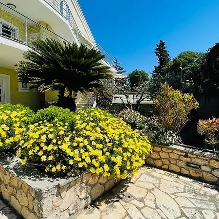 마에스트랄 자다르